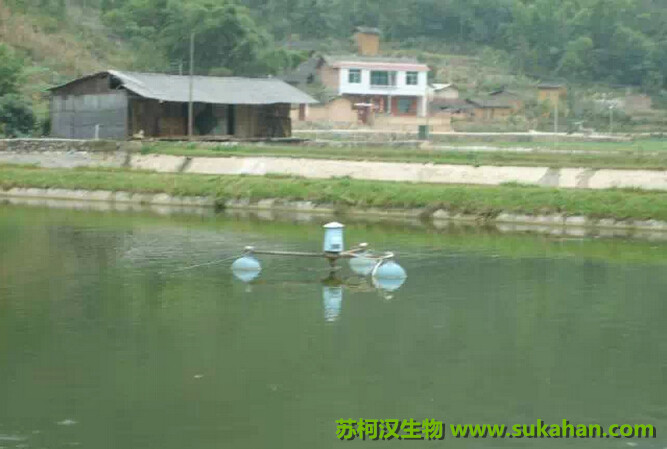 水產(chǎn)養(yǎng)殖中水質(zhì)的管理 池塘水質(zhì)管理